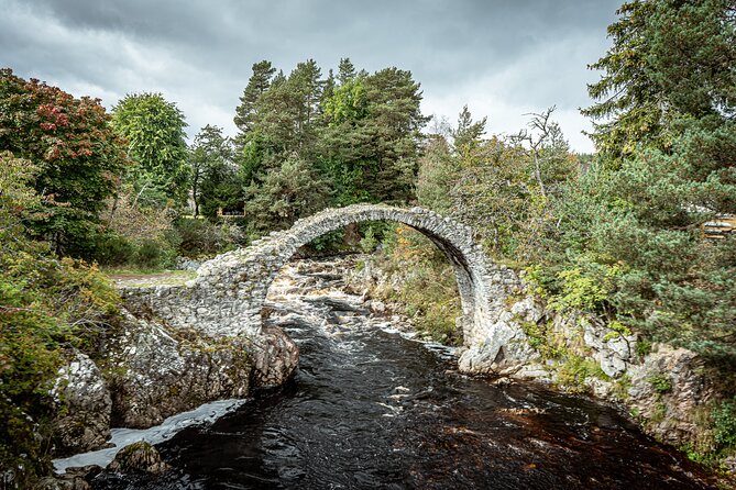 Loch Ness Private Day Tour up to 8 passengers - Loch Ness time: cruise, Urquhart Castle, and the gin distillery option