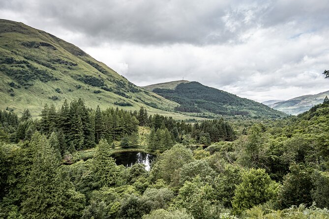 Loch Ness Private Day Tour up to 8 passengers - Scottish Highlands coos: the quick photo stop that wakes up the day