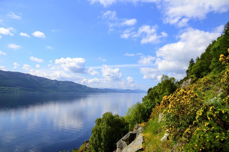 Loch Ness: Urquhart Castle Round-Trip Cruise - Who should book this Loch Ness and Urquhart Castle cruise