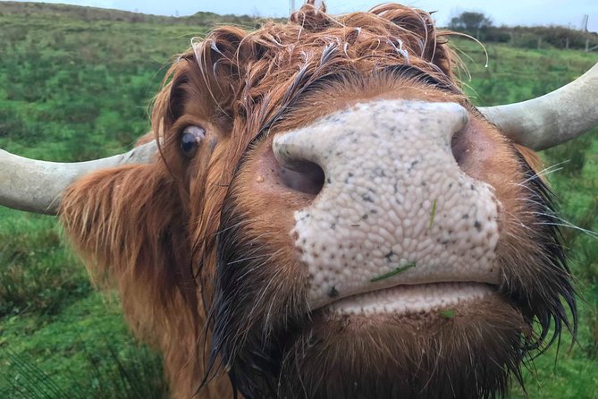 Multi Day Private Tour Of Scotland - 3 Days, One Private Group: What You’re Paying For
