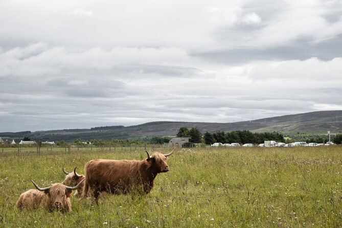 Private Full-Day Tour to the Scottish Highlands and Loch Ness - Blair Castle: A Change of Scene Beyond Highlands Views