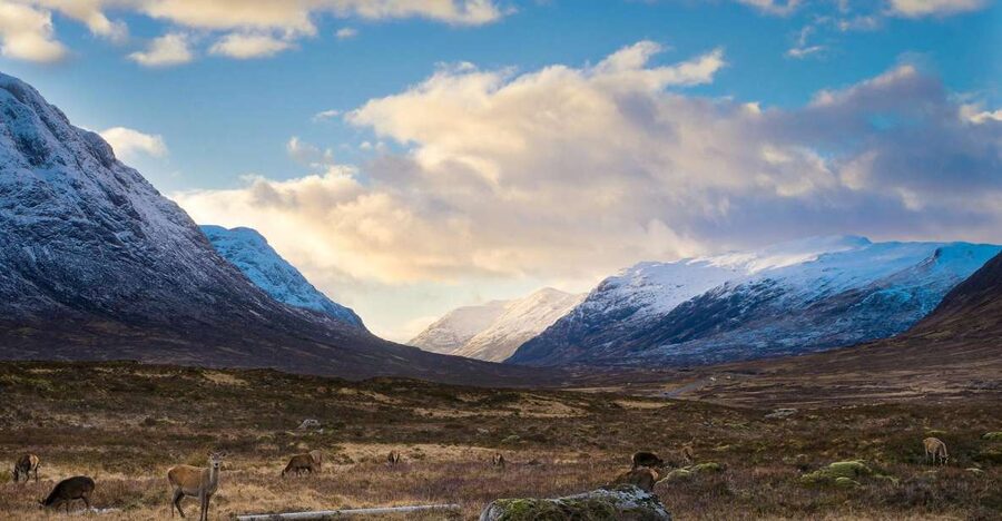 Private Harry Potter Day Tour For Small Groups - Glen Coe, Prisoner Of Azkaban Vibes And The Value Of A Good Guide