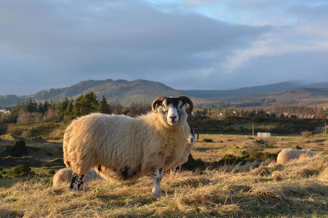 Private Luxury Tour of Loch Lomond, Glencoe & The Highlands - Stirling Castle and William Wallace, Quick Stops With Big Story Payoff