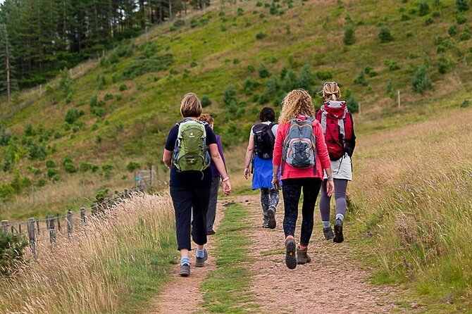 Private Mindfulness and Nature Walk in Edinburgh - Silent reflection on Arthur’s Seat: how to make it feel natural