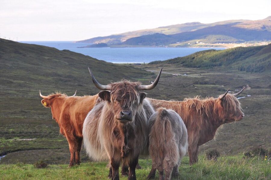 Private Outlander Tour for Small Groups - Key things I think you’ll care about