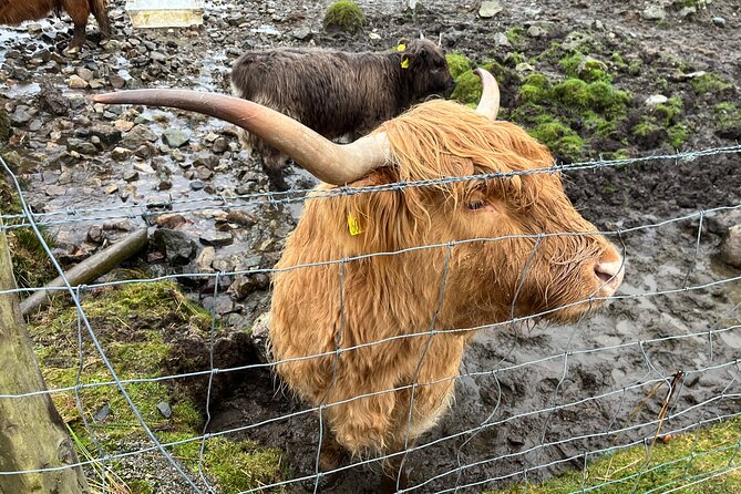 Private Scottish Highlands and Loch Ness Tour from Edinburgh - Morning Pickup, Kelpies, Stirling, And Doune Castle Timing
