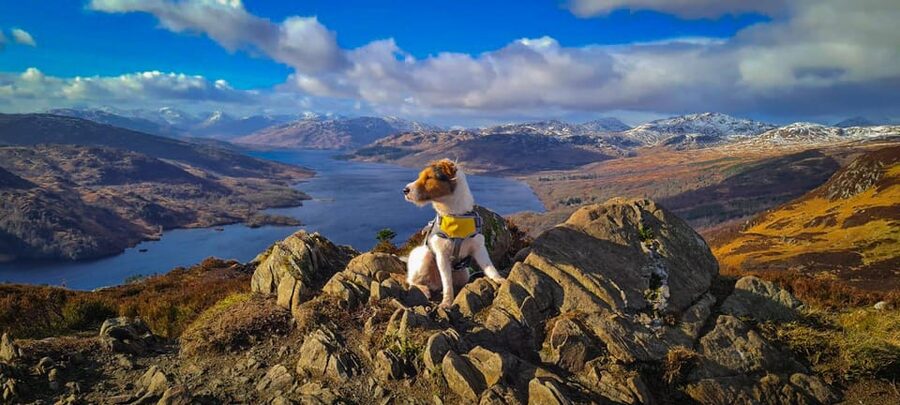 Private Tour of Highlands, Lochs & Castles from Edinburgh - Loch Awe and a fast pass by Stirling Castle