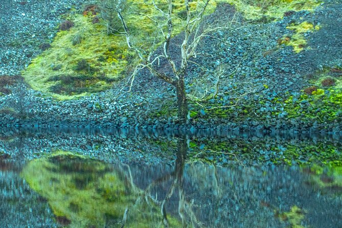 Private Tour of the Scottish Highlands from Edinburgh - A private Highlands day that trades crowds for control