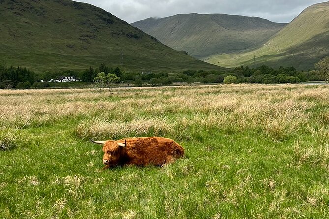 Private Tour to the Stunning Scottish Highlands & Glencoe - Glencoe: your main scenery moment, with a pub break built in