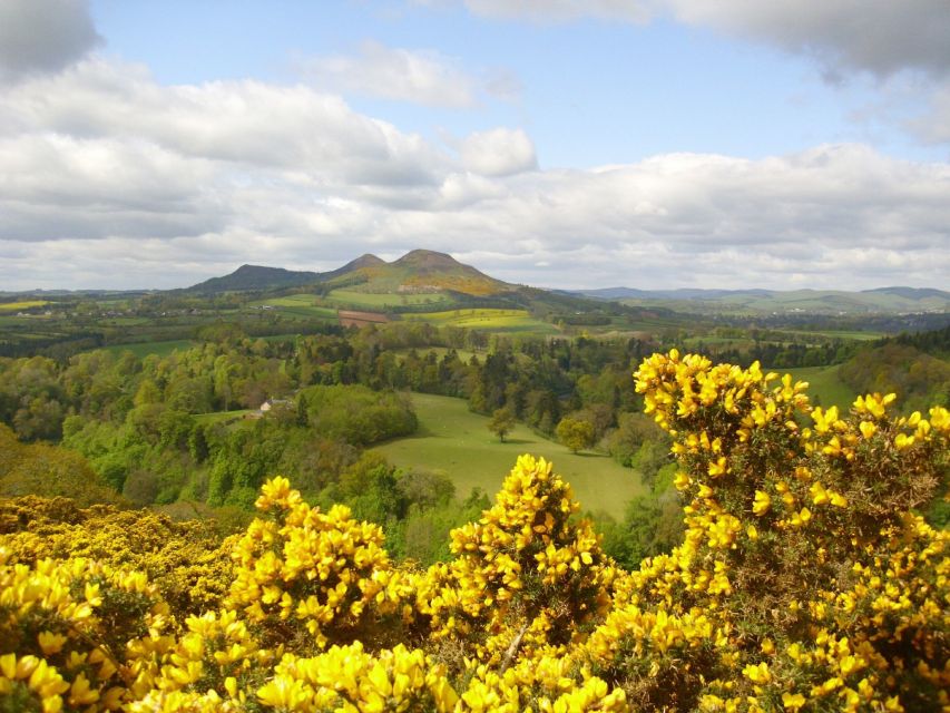 Rosslyn Chapel & Scottish Borders Tour from Edinburgh - Should you book this Rosslyn Chapel and Scottish Borders tour?