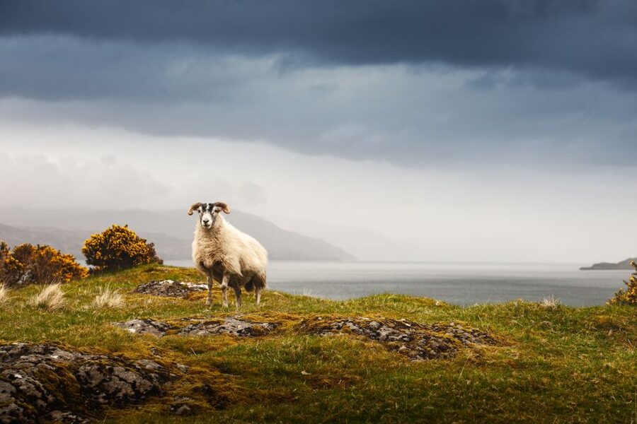 Scotland: West Highlands, Mull and Iona 4-Day Tour - Day 1: Edinburgh to Callander, Rannoch Moor, and the Glencoe corridor