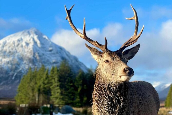 Scottish Highlands, Loch Ness and Glencoe Day Trip from Edinburgh - Loch Ness: free time on the shores, plus the Nessie cruise and Urquhart Castle choice