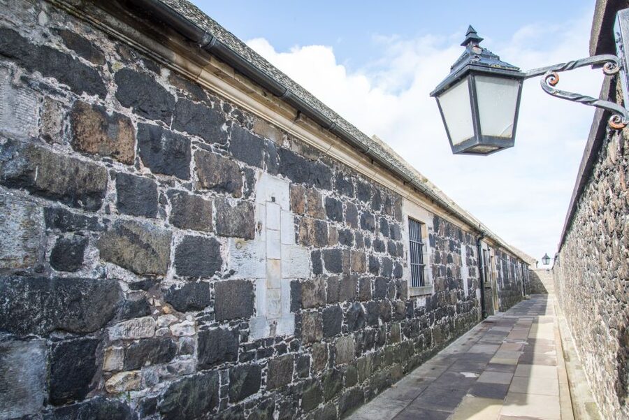 Stirling Castle, Highland Lochs & Whisky Tour from Edinburgh - Loch Lomond and the Trossachs: cows, lochs, and two ways to see it