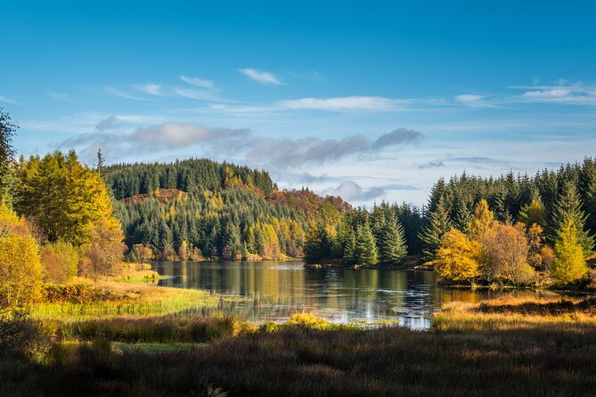 Stirling Castle, Kelpies and Loch Lomond from Edinburgh - Balloch and Loch Lomond: the scenery plus an optional cruise with Neil Oliver
