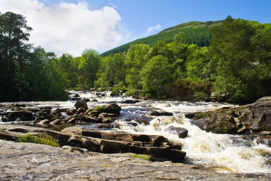 Stirling, Highlands & Destilería desde Edimburgo en español. - Tay Forest Park and Queen’s Viewpoint With Lake Tummel