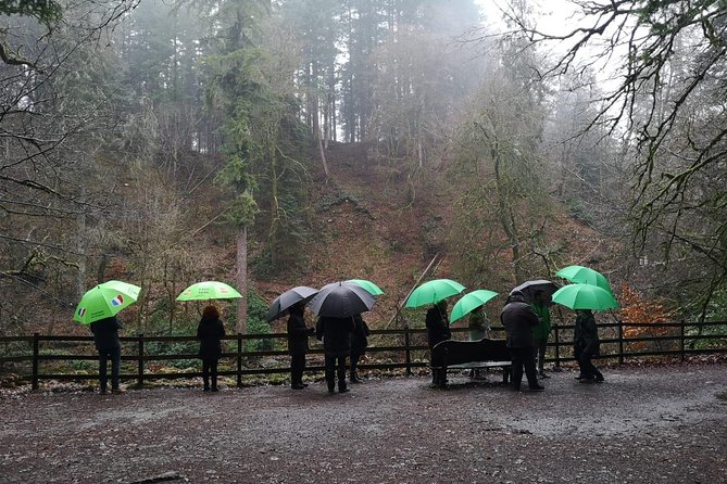 Stirling, Highlands & Distillery in Spanish - Stop 1: The Hermitage forest walk and waterfall pause