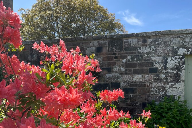 Stone & Story: Rosslyn Chapel & Melrose Abbey Private Day Trip - Dryburgh Abbey: Peaceful Ruins and Scott’s Final Resting Place