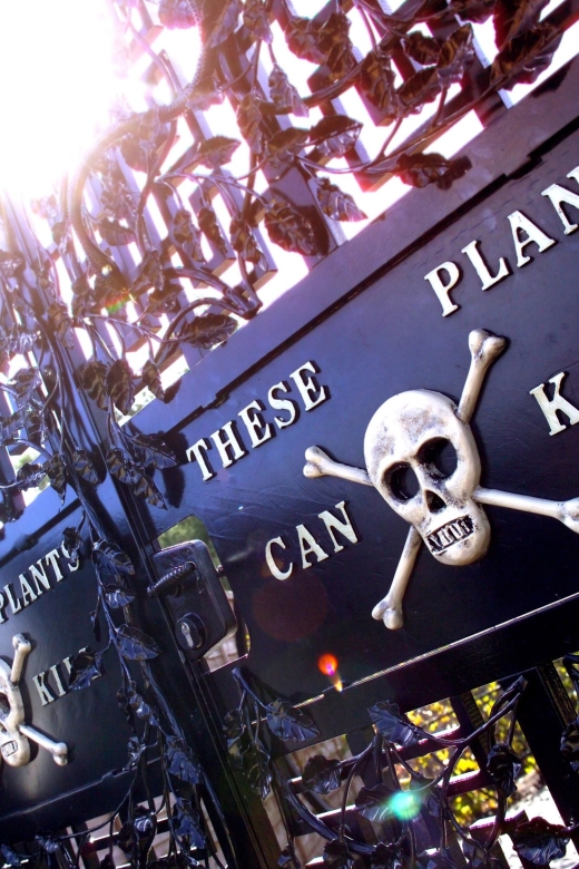 The Alnwick Garden: Entry Ticket - Bamboo Labyrinth: Fun Walking, Mild Mystery, Good for Families