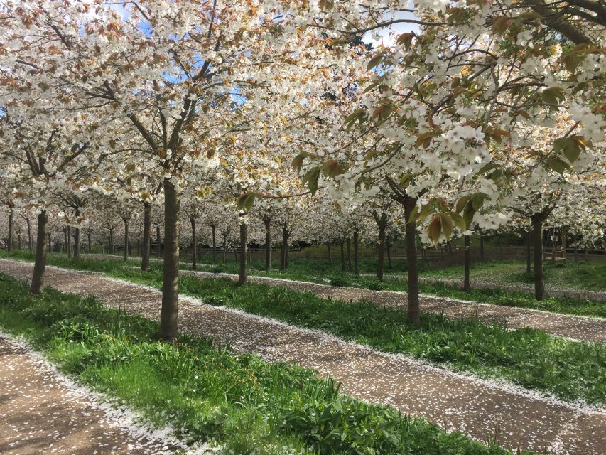 The Alnwick Garden: Entry Ticket - Where to Go and How to Plan Your Route